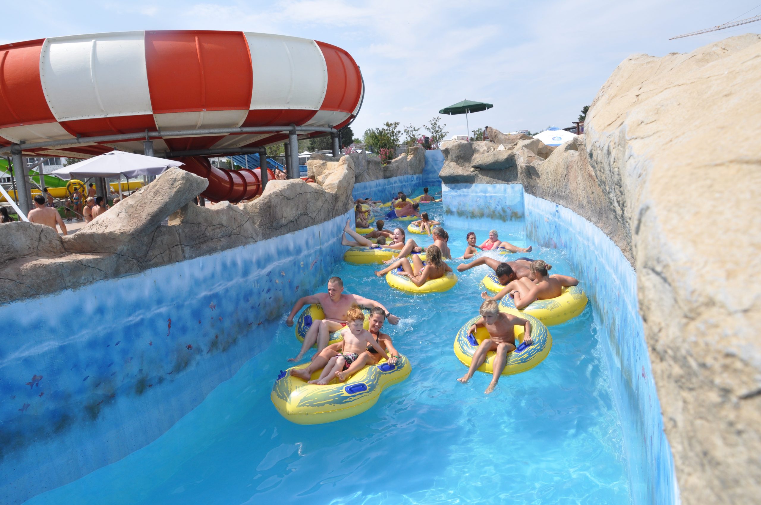 Trips and Activities